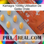 Kamagra 100Mg Utilisation De Gelée Orale 43